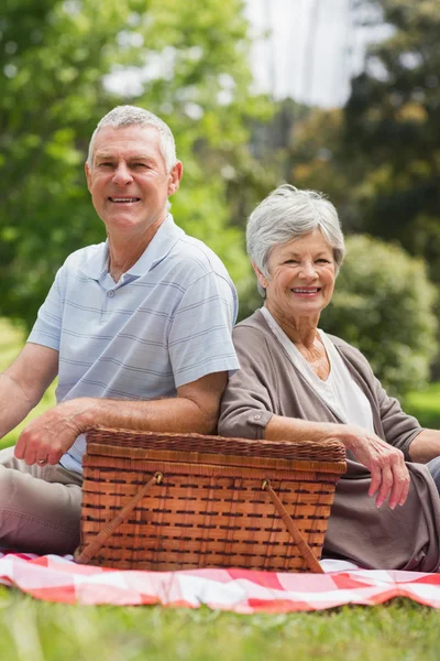 公園でのピクニック バスケットを持つ年配のカップルの笑みを浮かべてください。 — ストック写真