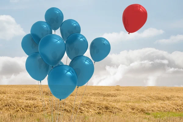 Ballonnen boven een veld — Stockfoto