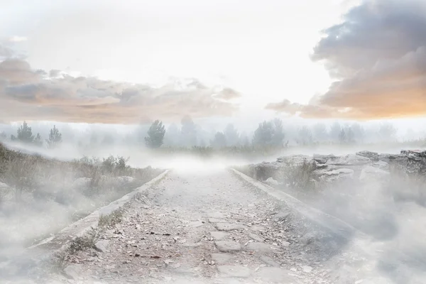 Stony path leading to misty forest — Stock Photo, Image