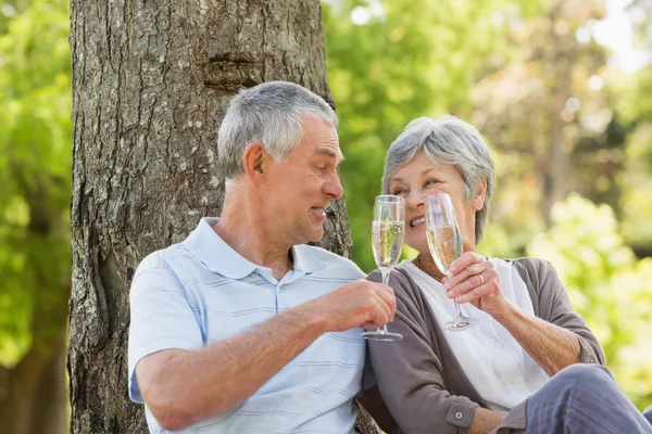 Lyckliga äldre par skålar champagne på park — Stockfoto