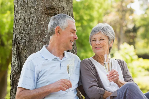 Lyckliga äldre par med champagne på park — Stockfoto