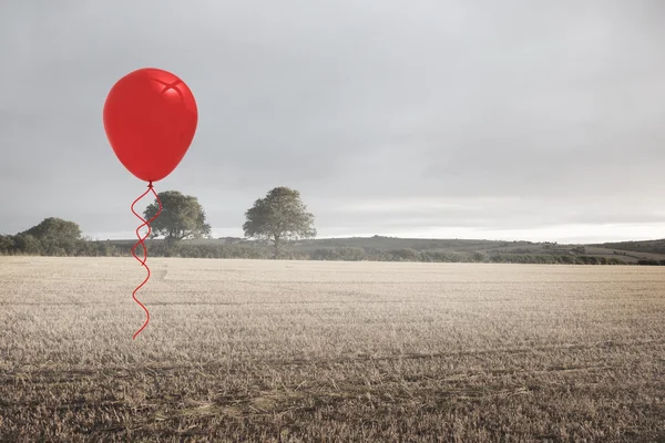 Palloncino sopra un campo — Foto Stock