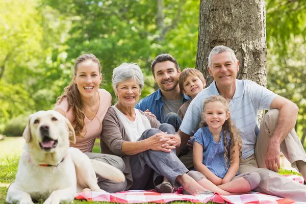 Uitgebreide familie met hun huisdier hond zit op park — Stockfoto