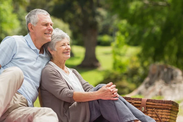 Sorridente coppia anziana seduta con cestino da picnic al parco — Foto Stock