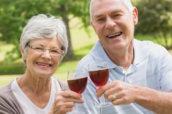 Ritratto di coppia anziana brindare bicchieri di vino al parco — Foto Stock