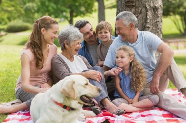 Extended family with their pet dog sitting at park clipart