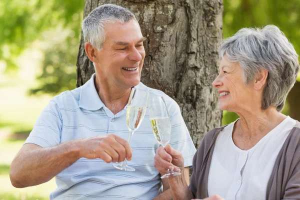 Счастливая старшая пара пьет шампанское на флейтах в парке — стоковое фото