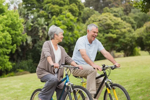 Pareja mayor en paseo en bicicleta en el campo —  Fotos de Stock