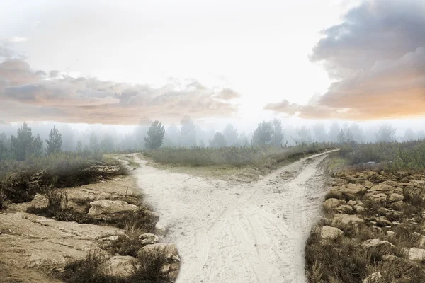 Camino que conduce al horizonte en el campo — Foto de Stock