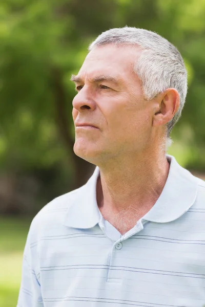 Närbild av en allvarlig senior man på park — Stockfoto