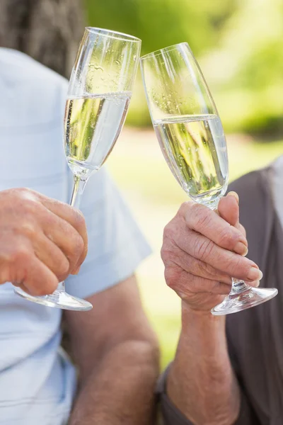 Руки тост шампанского флейты в парке — стоковое фото