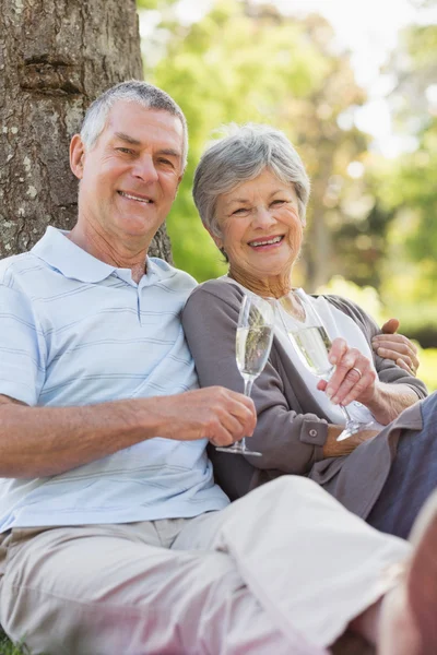 Feliz pareja de ancianos con champán en el parque —  Fotos de Stock