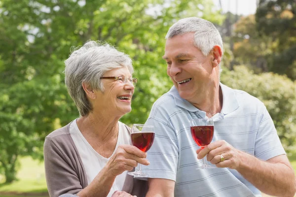 Senior pareja tostando copas de vino en el parque —  Fotos de Stock