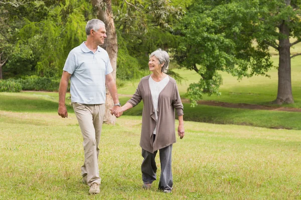 Happy senior couple holding hands and walking in park — Stock Photo, Image