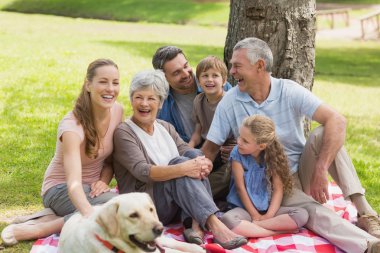 Extended family with their pet dog at park clipart