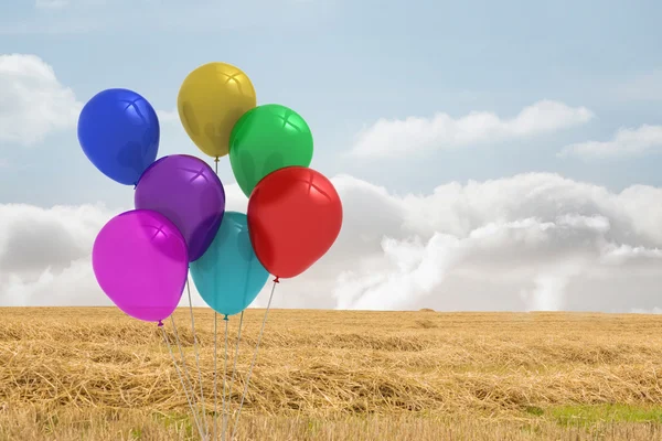 Ballonnen boven een veld — Stockfoto