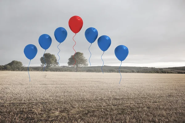 Balões acima de um campo — Fotografia de Stock
