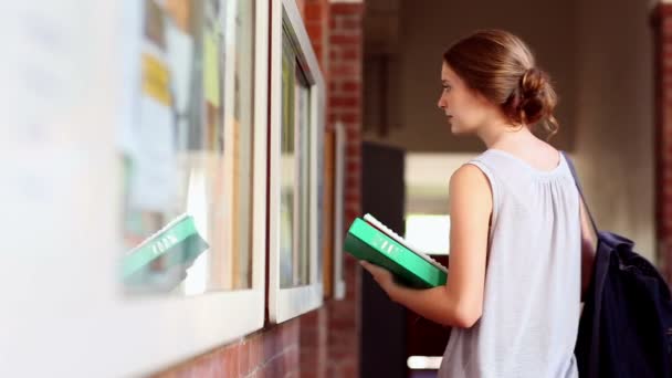 Mooie student controleren het prikbord — Stockvideo