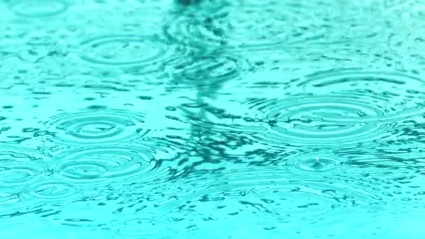 Regen auf dem Wasser — Stockvideo