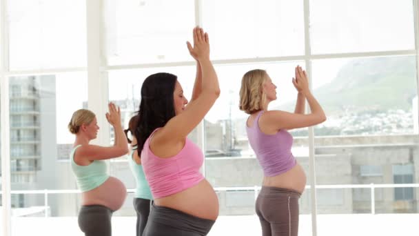 Mujeres embarazadas haciendo yoga en el gimnasio — Vídeo de stock