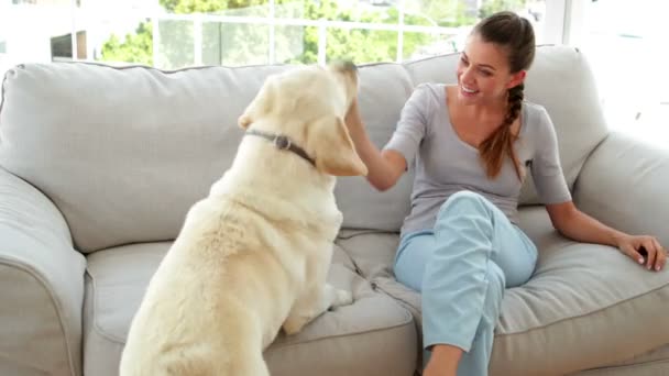 Woman playing with her labrador dog on the couch — Stock Video