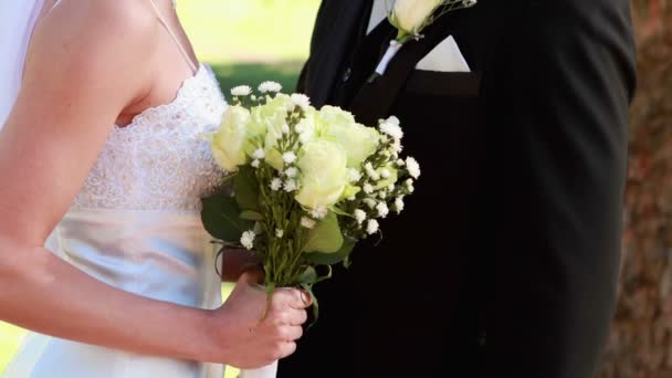 Feliz recém-casados de pé cara a cara — Vídeo de Stock