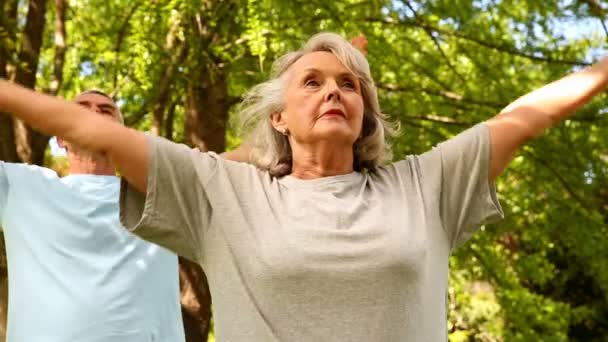 Pareja jubilada haciendo yoga afuera — Vídeo de stock