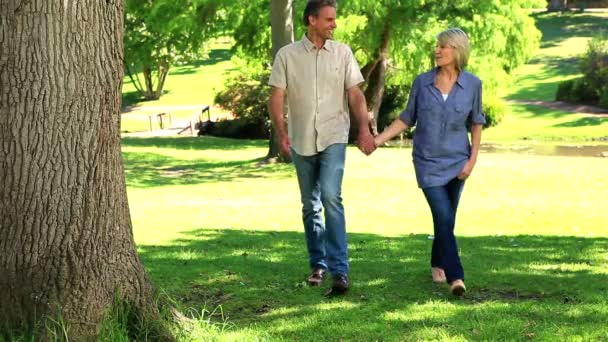 Счастливая пара, гуляющая по парку — стоковое видео