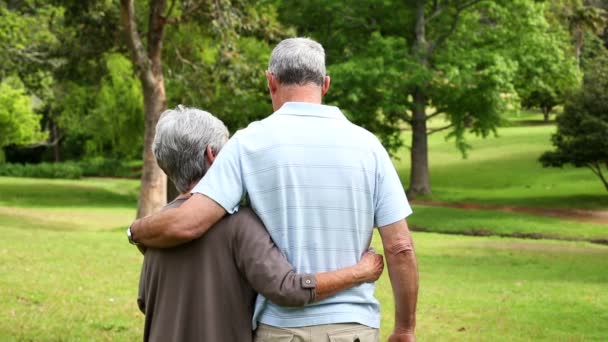 Pensionerad par stående i parken tillsammans — Stockvideo