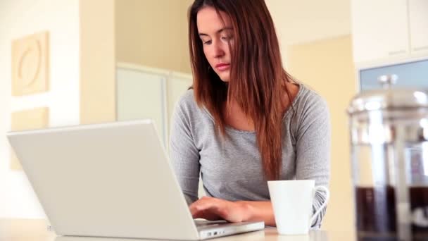 Bonita morena sentada usando laptop y bebiendo café — Vídeos de Stock
