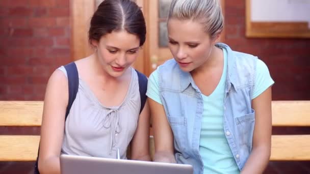 Mitschüler sitzen gemeinsam mit Laptop auf Bank — Stockvideo