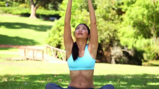 Fit asiatique fille faire du yoga dans le parc — Video