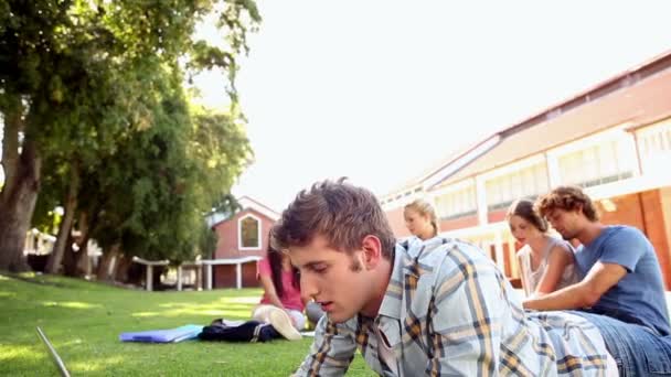 Student using laptop with classmates sitting behind on grass — Stock Video