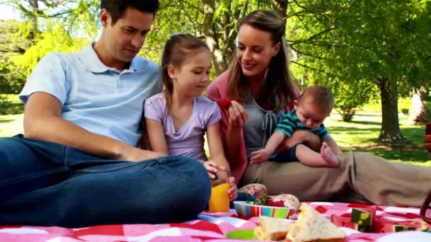 Šťastná rodina si piknik v parku — Stock video