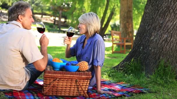 Gelukkige paar met een picknick in het park — Stockvideo