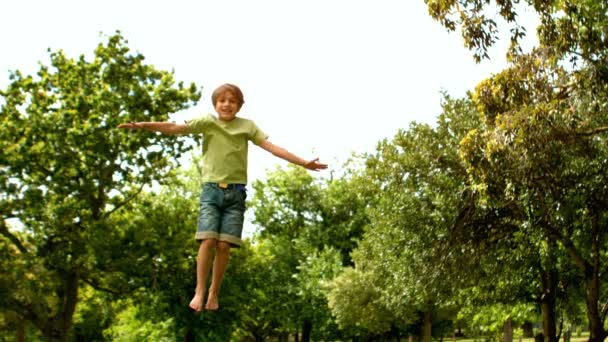 Little boy jumping up and down — Stock Video