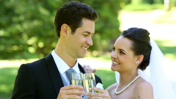 Lyckligt nygifta grillas med champagne — Stockvideo