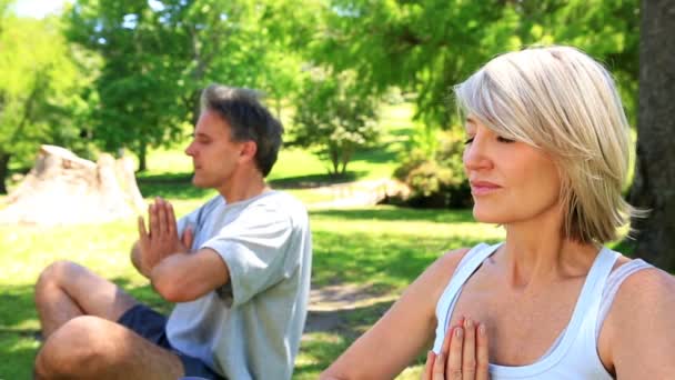Paar doen yoga samen in het park — Stockvideo