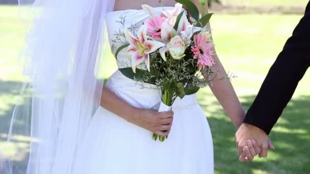 Nowożeńcy w parku, trzymając się za ręce — Wideo stockowe