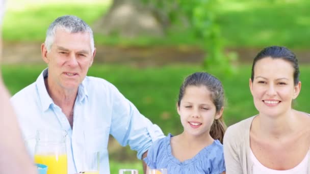 Familia viendo a padre asar hamburguesas en el parque — Vídeo de stock