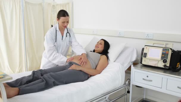 Brunette pregnant woman being checked by doctor — Stock Video