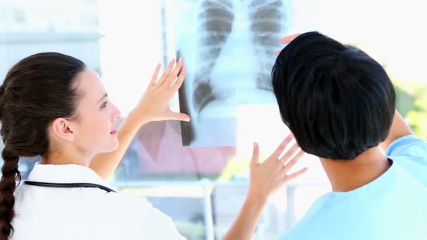 Doctor and nurse discussing xray — Stock Video