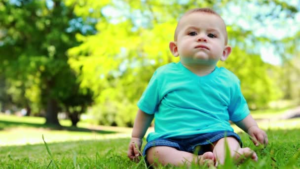 Kleine babyjongen zittend op het gras — Stockvideo