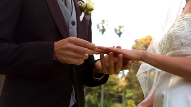 Мужчина надевает кольцо на невест палец — стоковое видео