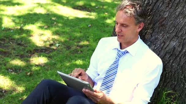 Businessman leaning against tree using tablet — Stock Video