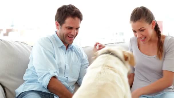 Pareja llamando a su perro labrador al sofá — Vídeo de stock