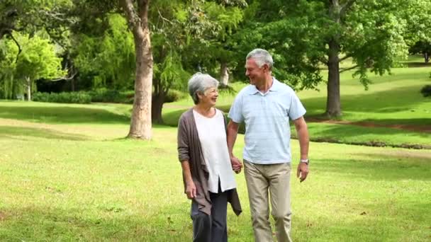 Pareja jubilada caminando juntos por el parque — Vídeos de Stock