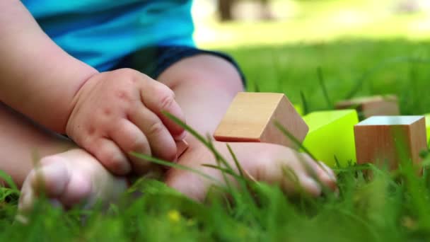 Baby spelen met bouwstenen op het gras — Stockvideo