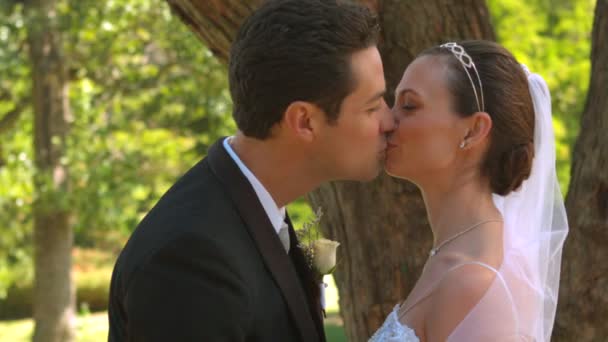 Newlyweds kissing in the park — Stock Video