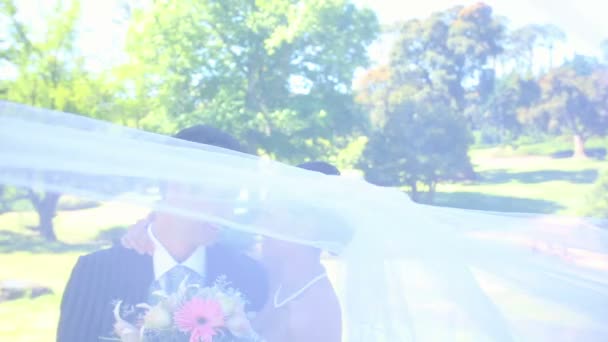 Happy newlyweds standing in the park — Stock Video